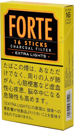 Forte 16 超轻