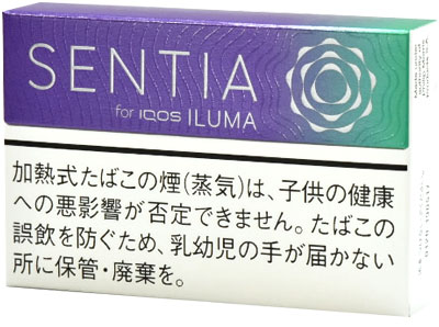 Sentia 清新紫色